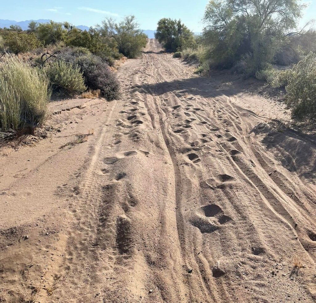 The National Old Trails Road (established 1921) looked like it hadn't been maintained since 1921!