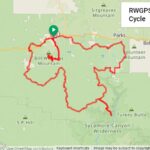 Williams Training Loop